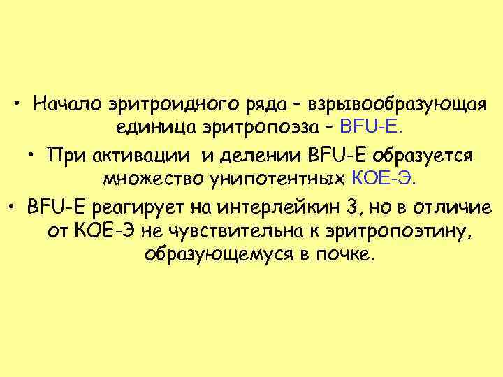  • Начало эритроидного ряда – взрывообразующая единица эритропоэза – BFU-E. • При активации