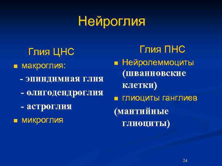 Нейроглия Глия ПНС Глия ЦНС n макроглия: n Нейролеммоциты (шванновские клетки) - эпиндимная глия