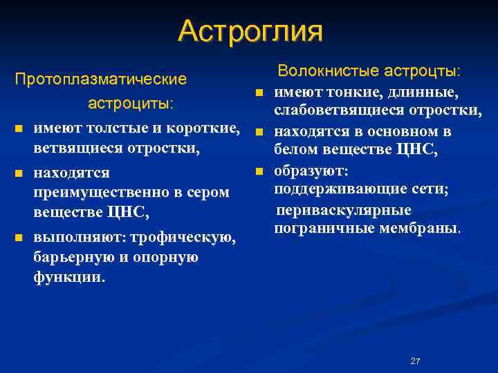 Астроглия Протоплазматические астроциты: n имеют толстые и короткие, ветвящиеся отростки, n находятся преимущественно в