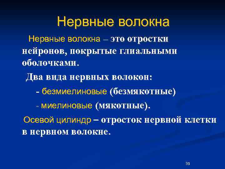 Нервные волокна – это отростки нейронов, покрытые глиальными оболочками. Два вида нервных волокон: -