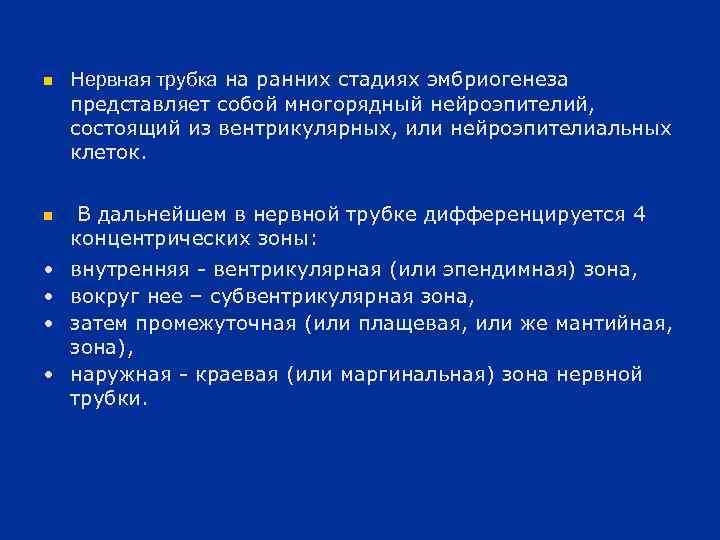 n n Нервная трубка на ранних стадиях эмбриогенеза представляет собой многорядный нейроэпителий, состоящий из