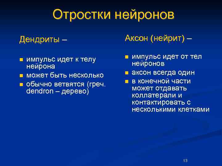 Отростки нейронов Дендриты – n n n импульс идет к телу нейрона может быть