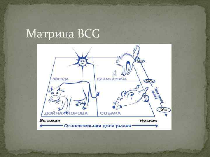 Матрица BCG 