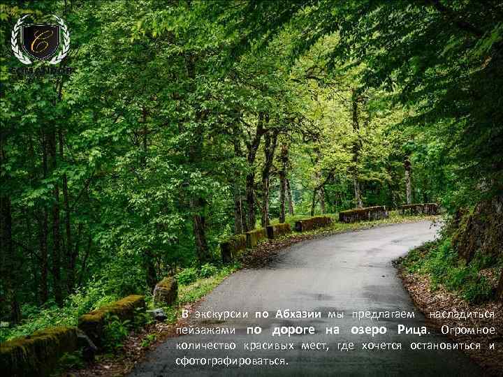 В экскурсии по Абхазии мы предлагаем насладиться пейзажами по дороге на озеро Рица. Огромное