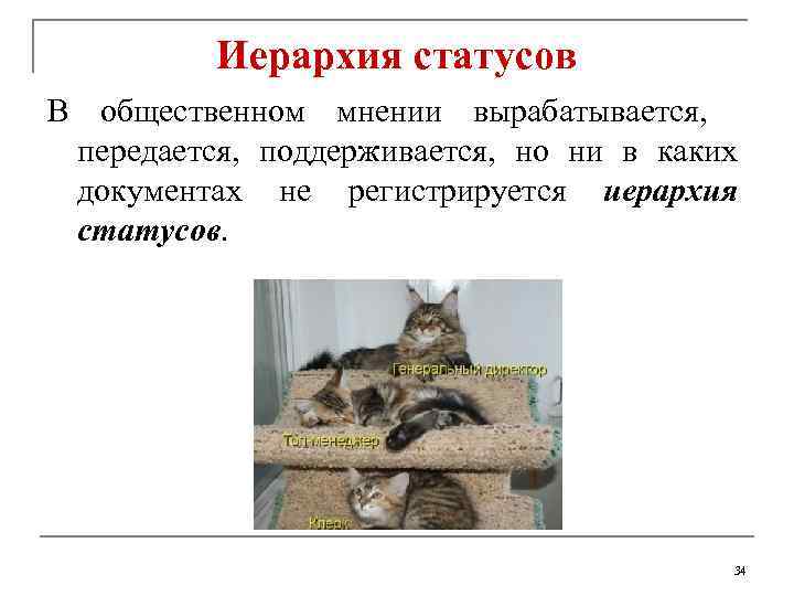 Иерархия статусов В общественном мнении вырабатывается, передается, поддерживается, но ни в каких документах не