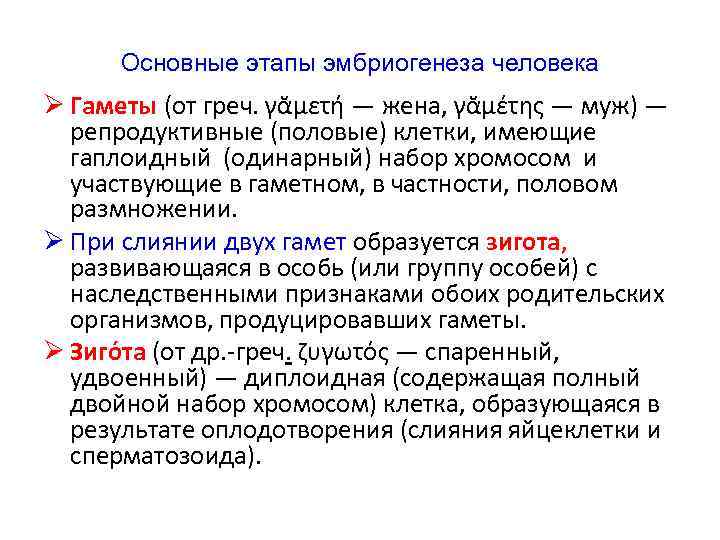 Основные этапы эмбриогенеза человека Ø Гаметы (от греч. γᾰμετή — жена, γᾰμέτης — муж)