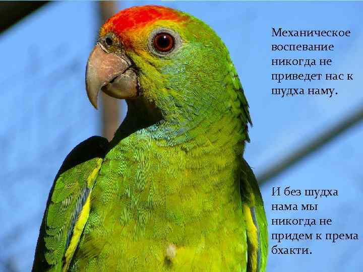 Механическое воспевание никогда не приведет нас к шудха наму. И без шудха нама мы