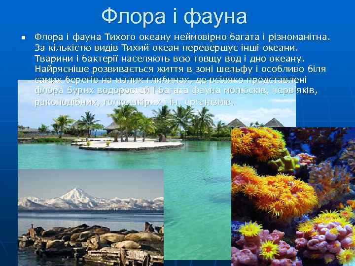 Флора і фауна n Флора і фауна Тихого океану неймовірно багата і різноманітна. За