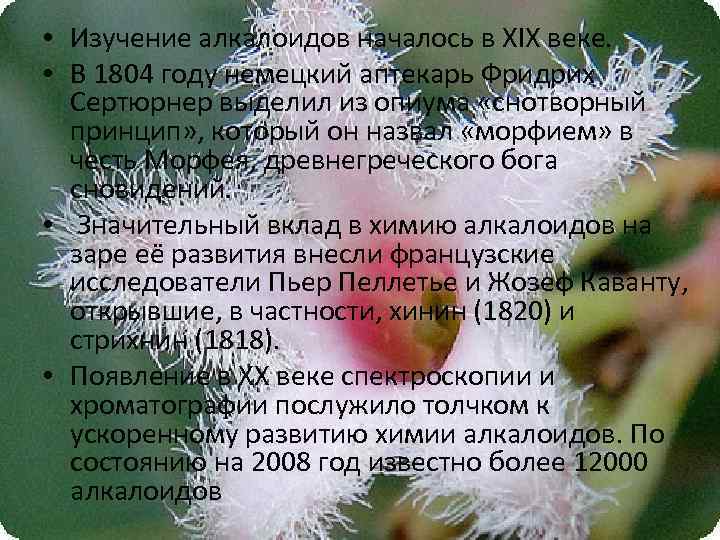  • Изучение алкалоидов началось в XIX веке. • В 1804 году немецкий аптекарь
