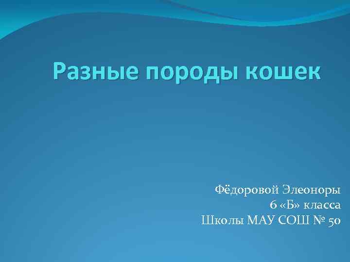 Разные породы кошек Фёдоровой Элеоноры 6 «Б» класса Школы МАУ СОШ № 50 