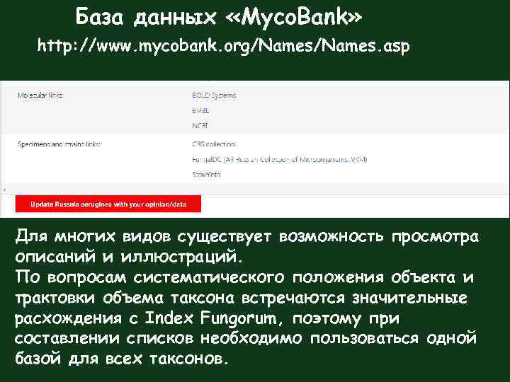 База данных «Myco. Bank» http: //www. mycobank. org/Names. asp Для многих видов существует возможность