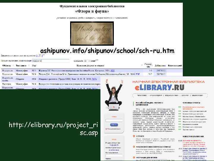 ashipunov. info/shipunov/school/sch-ru. htm http: //elibrary. ru/project_ri sc. asp 