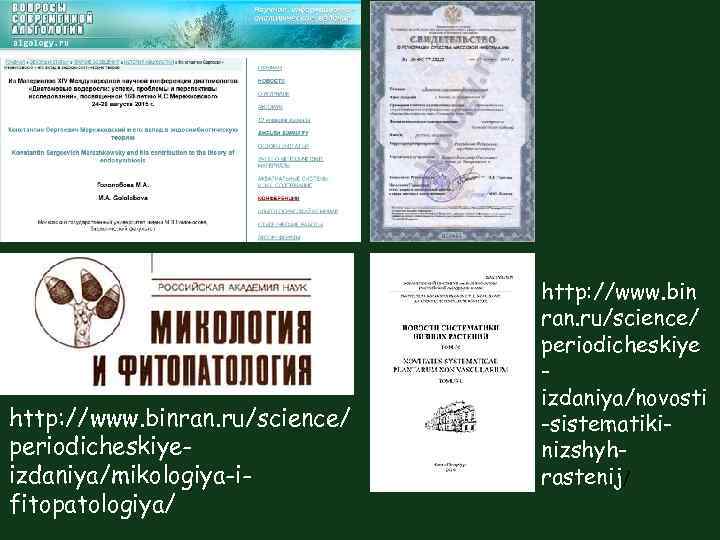 http: //www. binran. ru/science/ periodicheskiyeizdaniya/mikologiya-ifitopatologiya/ http: //www. bin ran. ru/science/ periodicheskiye izdaniya/novosti -sistematikinizshyhrastenij/ 