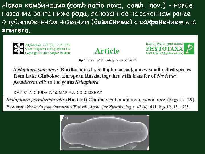 Новая комбинация (combinatio nova, comb. nov. ) – новое название ранга ниже рода, основанное