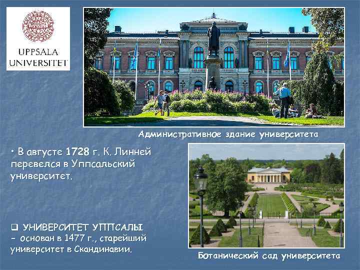 Административное здание университета • В августе 1728 г. К. Линней перевелся в Уппсальский университет.