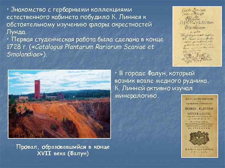  • Знакомство с гербарными коллекциями естественного кабинета побудило К. Линнея к обстоятельному изучению