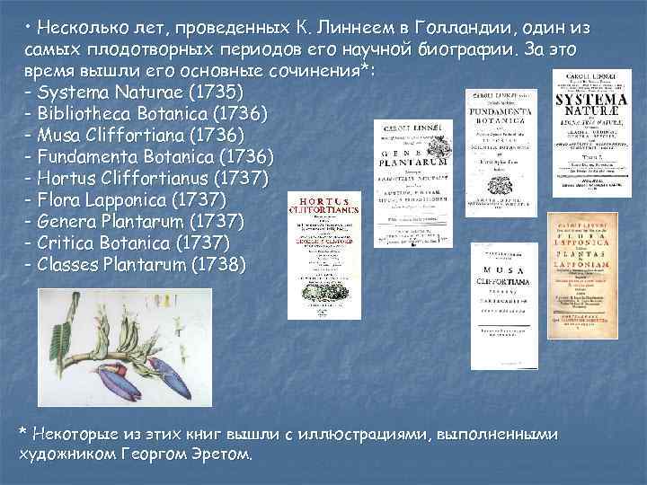  • Несколько лет, проведенных К. Линнеем в Голландии, один из самых плодотворных периодов