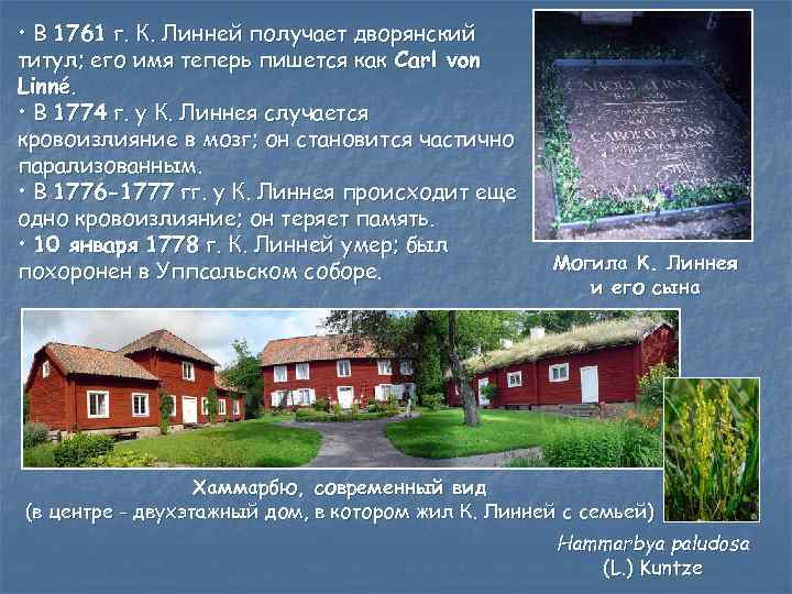  • В 1761 г. К. Линней получает дворянский титул; его имя теперь пишется