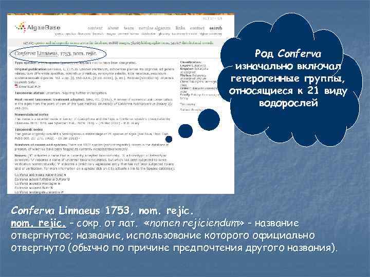 Род Conferva изначально включал гетерогенные группы, относящиеся к 21 виду водорослей Conferva Linnaeus 1753,
