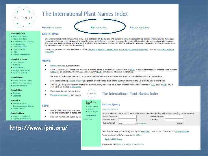 http: //www. ipni. org/ 