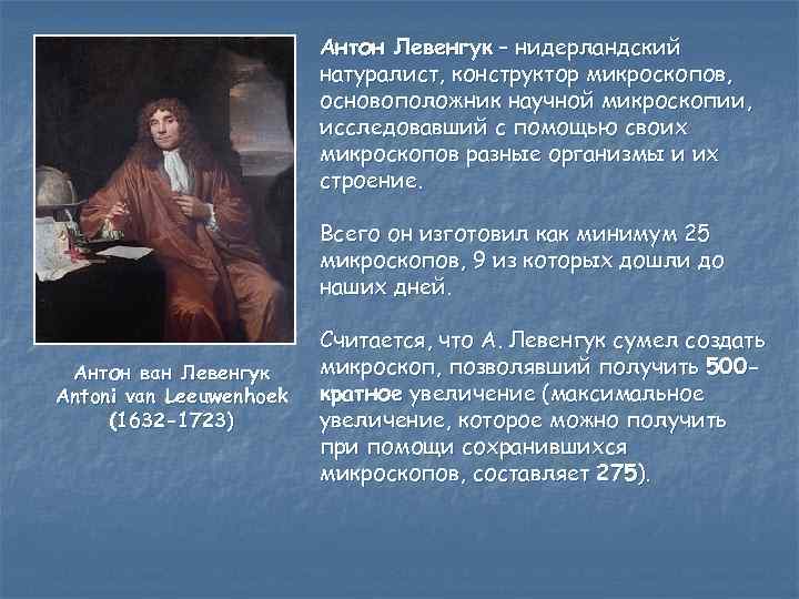 Антон Левенгук – нидерландский натуралист, конструктор микроскопов, основоположник научной микроскопии, исследовавший с помощью своих