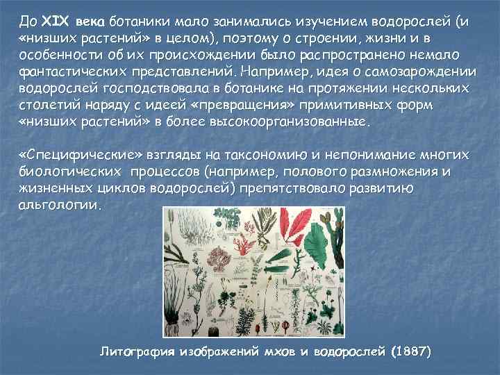 До XIX века ботаники мало занимались изучением водорослей (и «низших растений» в целом), поэтому