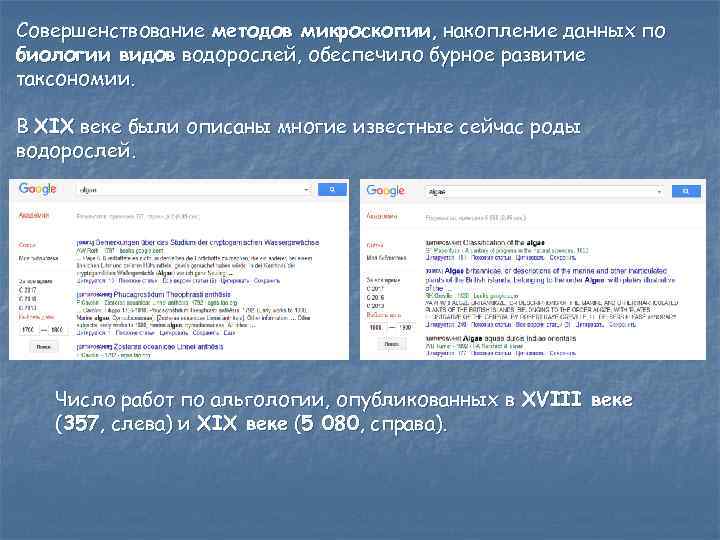 Совершенствование методов микроскопии, накопление данных по биологии видов водорослей, обеспечило бурное развитие таксономии. В