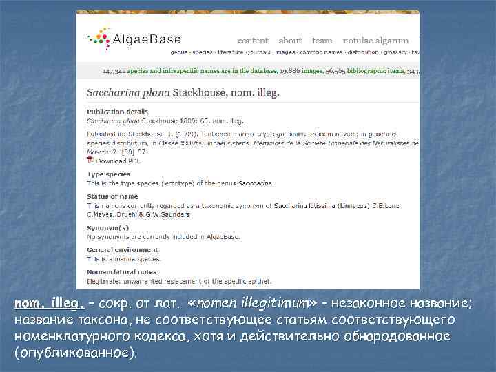 nom. illeg. – сокр. от лат. «nomen illegitimum» - незаконное название; название таксона, не