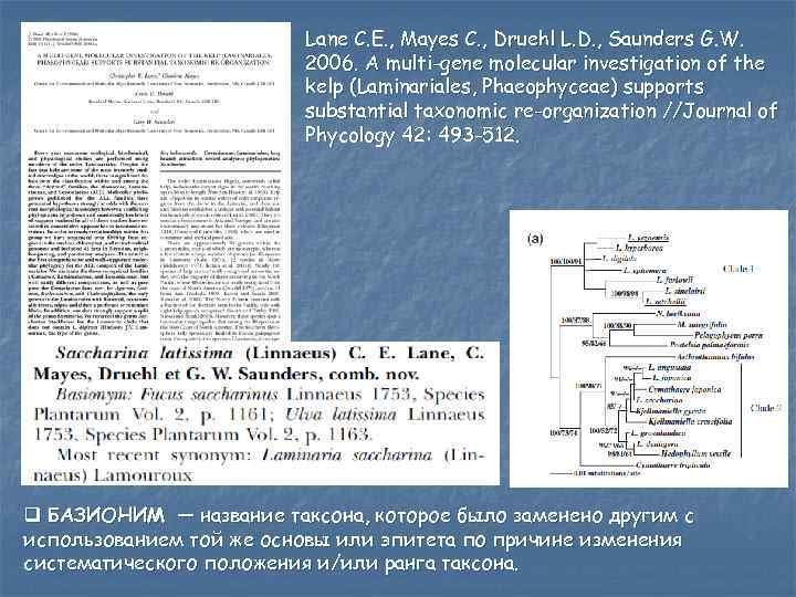 Lane C. E. , Mayes C. , Druehl L. D. , Saunders G. W.