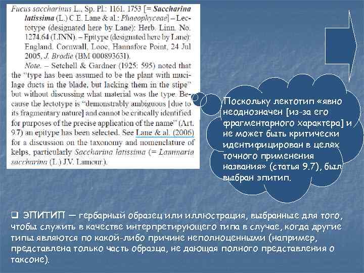 Поскольку лектотип «явно неоднозначен [из-за его фрагментарного характера] и не может быть критически идентифицирован
