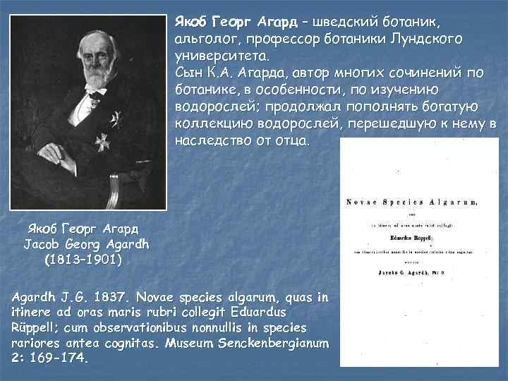 Якоб Георг Агард – шведский ботаник, альголог, профессор ботаники Лундского университета. Сын К. А.