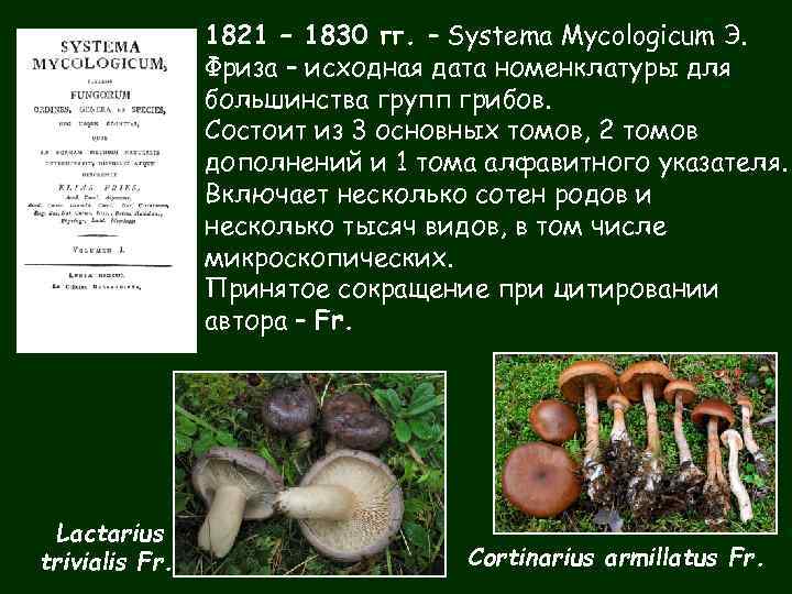 1821 – 1830 гг. – Systema Mycologicum Э. Фриза – исходная дата номенклатуры для