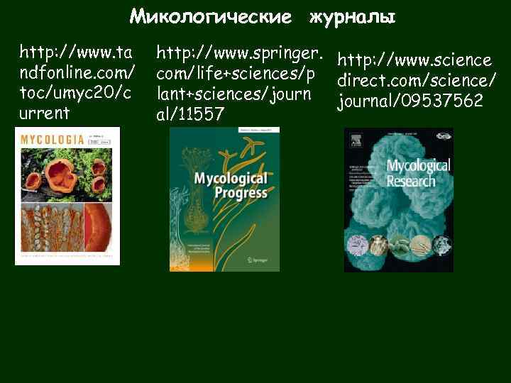 Микологические журналы http: //www. ta ndfonline. com/ toc/umyc 20/c urrent http: //www. springer. http: