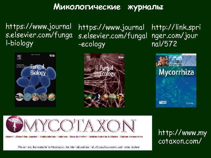 Микологические журналы https: //www. journal http: //link. spri s. elsevier. com/fungal nger. com/jour l-biology