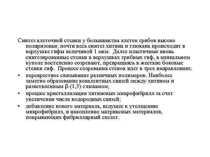 Синтез клеточной стенки у большинства клеток грибов высоко поляризован; почти весь синтез хитина и