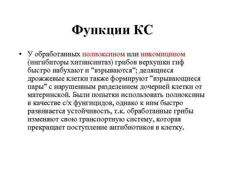Функции КС • У обработанных полиоксином или никомицином (ингибиторы хитинсинтаз) грибов верхушки гиф быстро