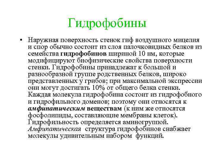 Гидрофобины • Наружная поверхность стенок гиф воздушного мицелия и спор обычно состоит из слоя
