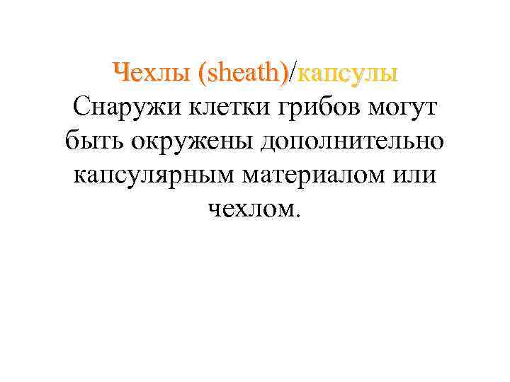 Чехлы (sheath)/капсулы sheath) Снаружи клетки грибов могут быть окружены дополнительно капсулярным материалом или чехлом.