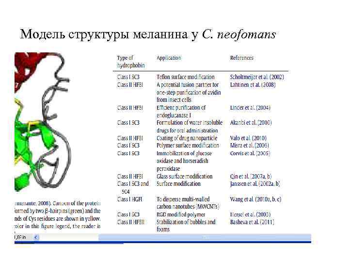 Модель структуры меланина у C. neofomans 
