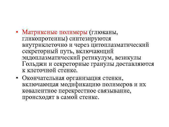  • Матриксные полимеры (глюканы, гликопротеины) синтезируются внутриклеточно и через цитоплазматический секреторный путь, включающий