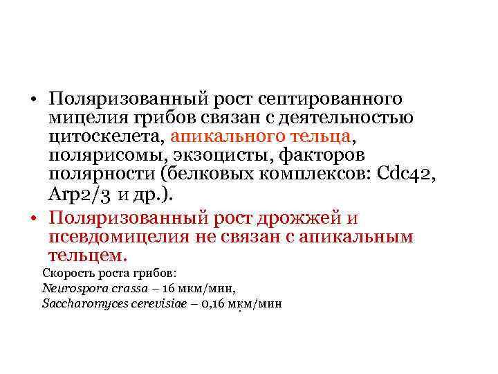  • Поляризованный рост септированного мицелия грибов связан с деятельностью цитоскелета, апикального тельца, полярисомы,