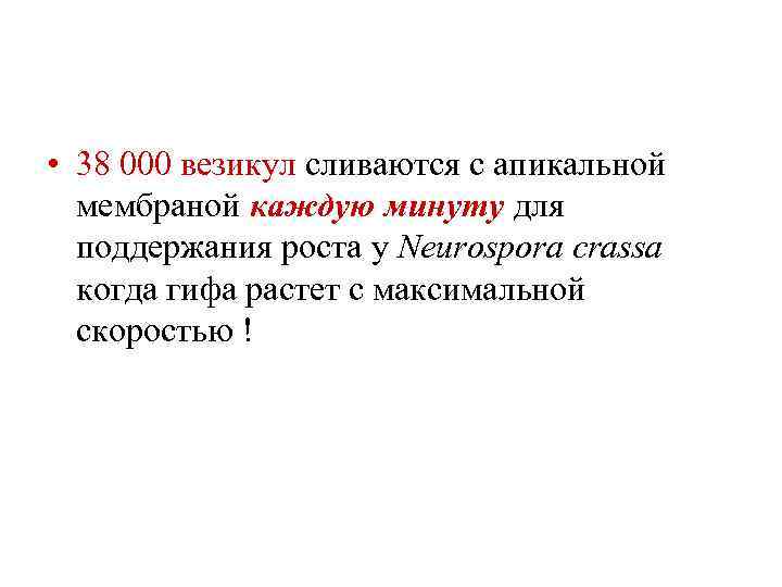  • 38 000 везикул сливаются с апикальной мембраной каждую минуту для поддержания роста