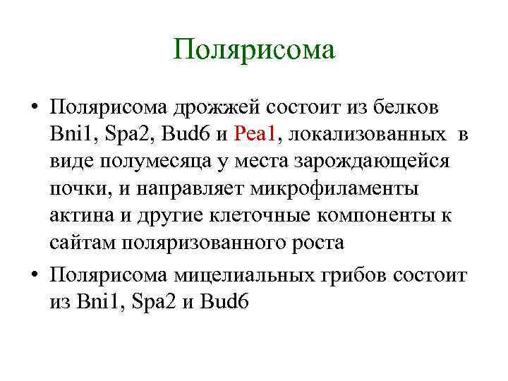 Полярисома • Полярисома дрожжей состоит из белков Bni 1, Spa 2, Bud 6 и