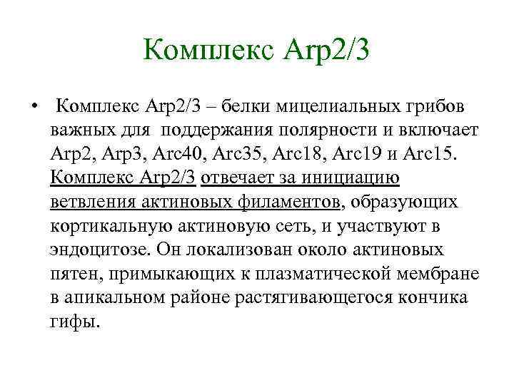 Комплекс Arp 2/3 • Комплекс Arp 2/3 – белки мицелиальных грибов важных для поддержания