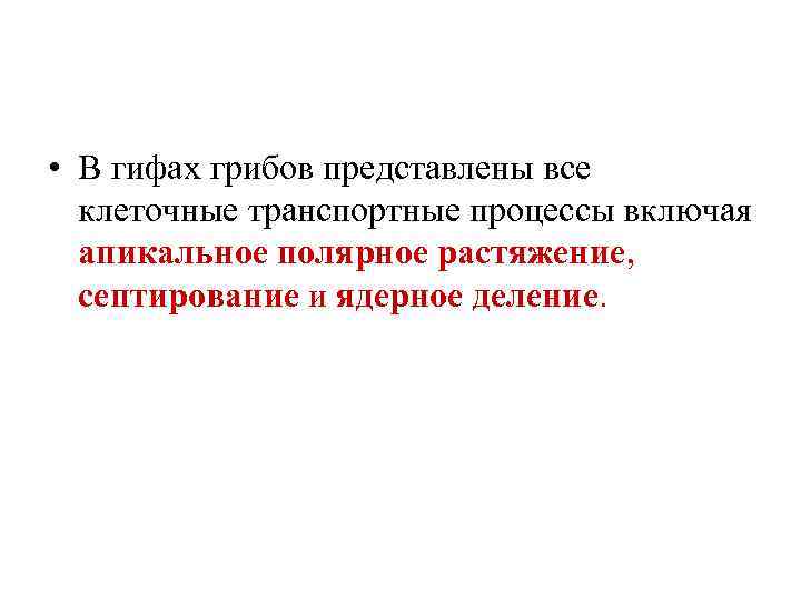  • В гифах грибов представлены все клеточные транспортные процессы включая апикальное полярное растяжение,