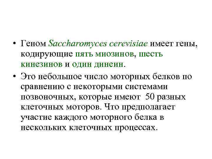  • Геном Saccharomyces cerevisiae имеет гены, кодирующие пять миозинов, шесть кинезинов и один