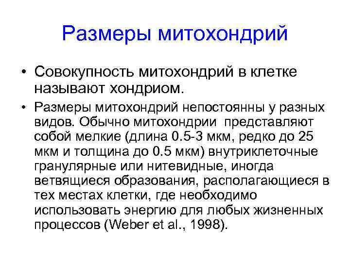 Размеры митохондрий • Совокупность митохондрий в клетке называют хондриом. • Размеры митохондрий непостоянны у
