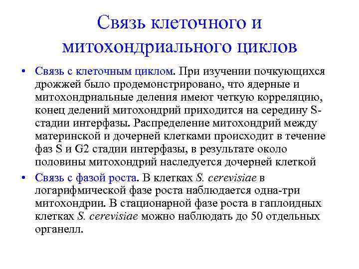 Связь клеточного и митохондриального циклов • Связь с клеточным циклом. При изучении почкующихся дрожжей