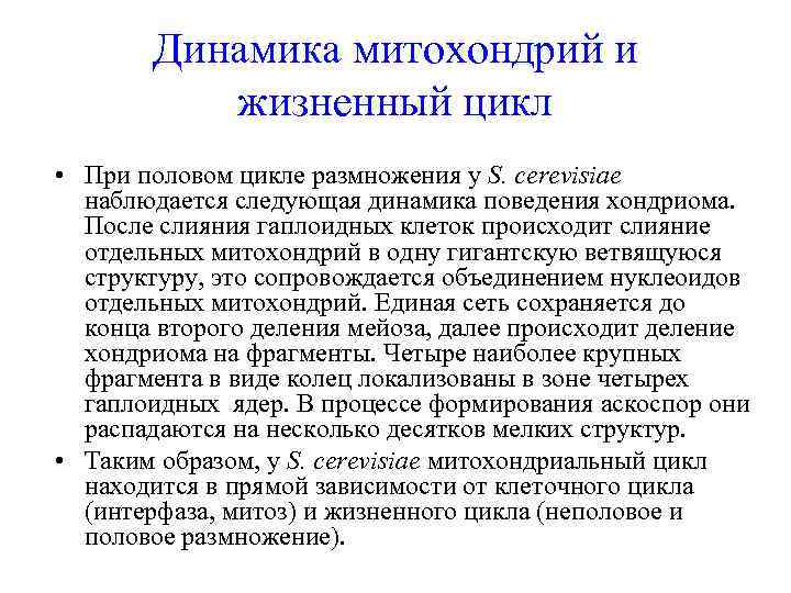 Динамика митохондрий и жизненный цикл • При половом цикле размножения у S. cerevisiae наблюдается