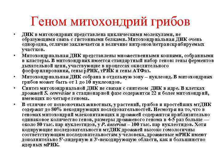 Геном митохондрий грибов • • • ДНК в митохондриях представлена циклическими молекулами, не образующими